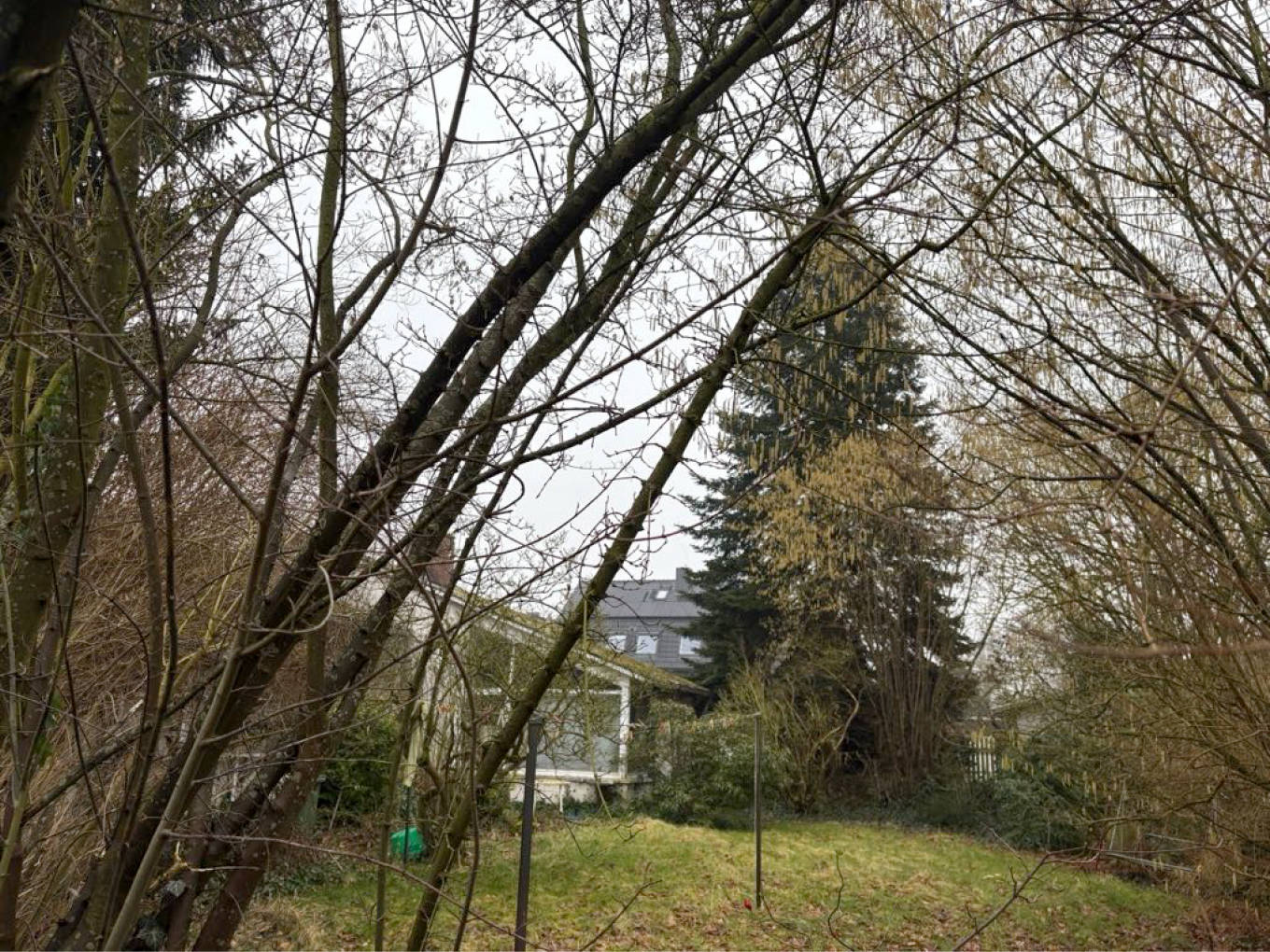 Einfamilienhaus mit Garage in Haßkampstraße 10, 32257 Bünde - Bild 5