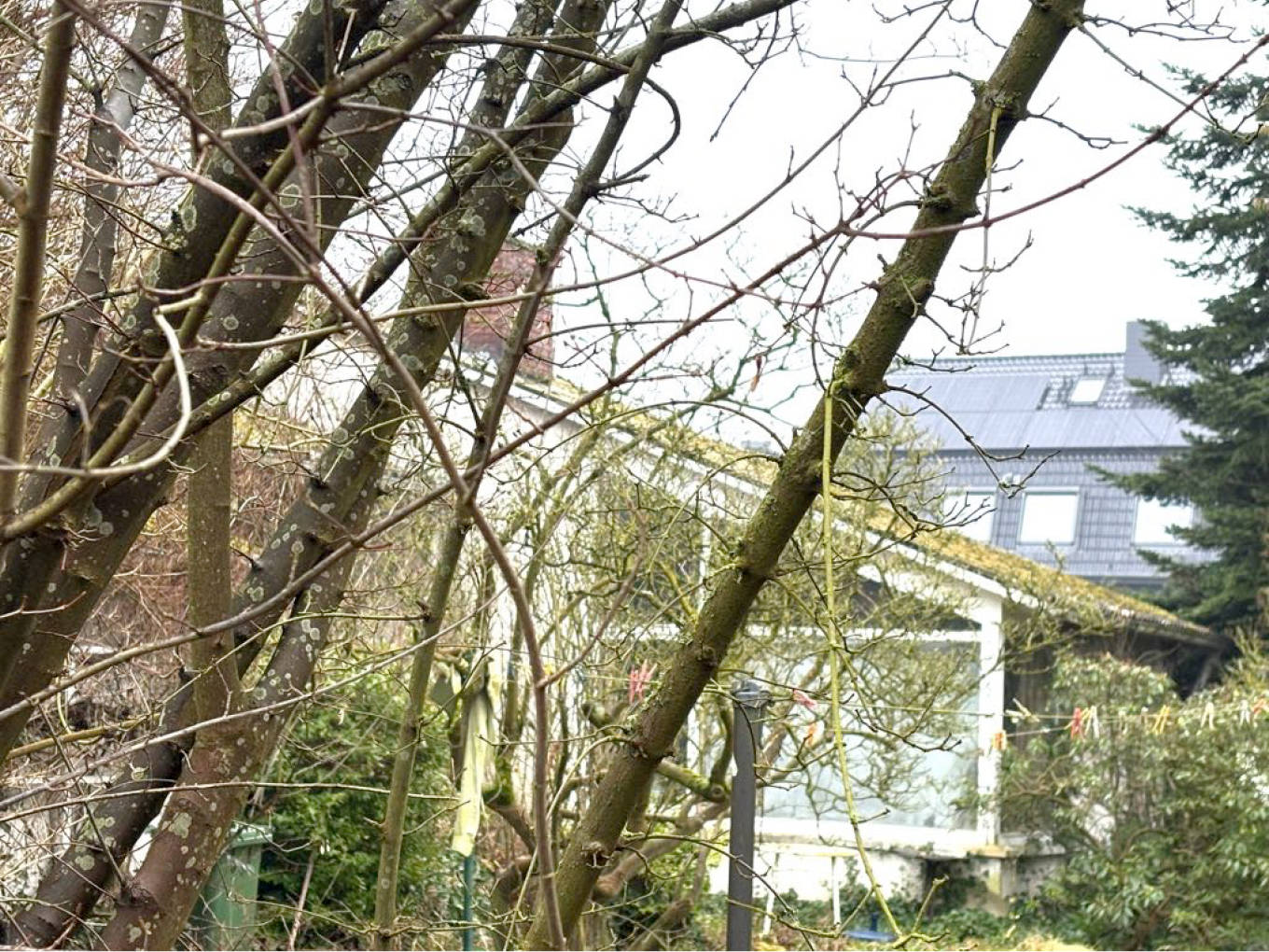 Einfamilienhaus mit Garage in Haßkampstraße 10, 32257 Bünde