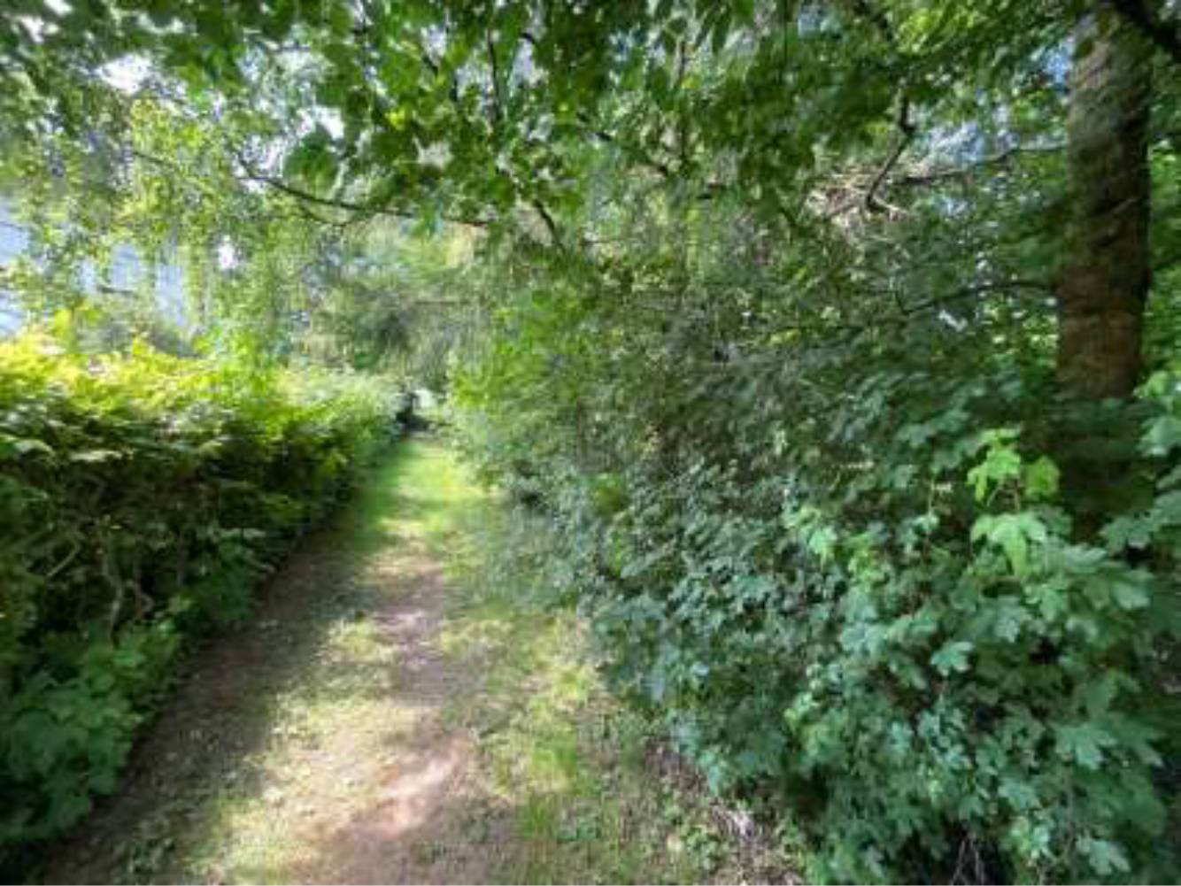 nordrheinwestpfalen 0010 K 0015/2023 Am Etzelsberg 38, 59929 Brilon 13
