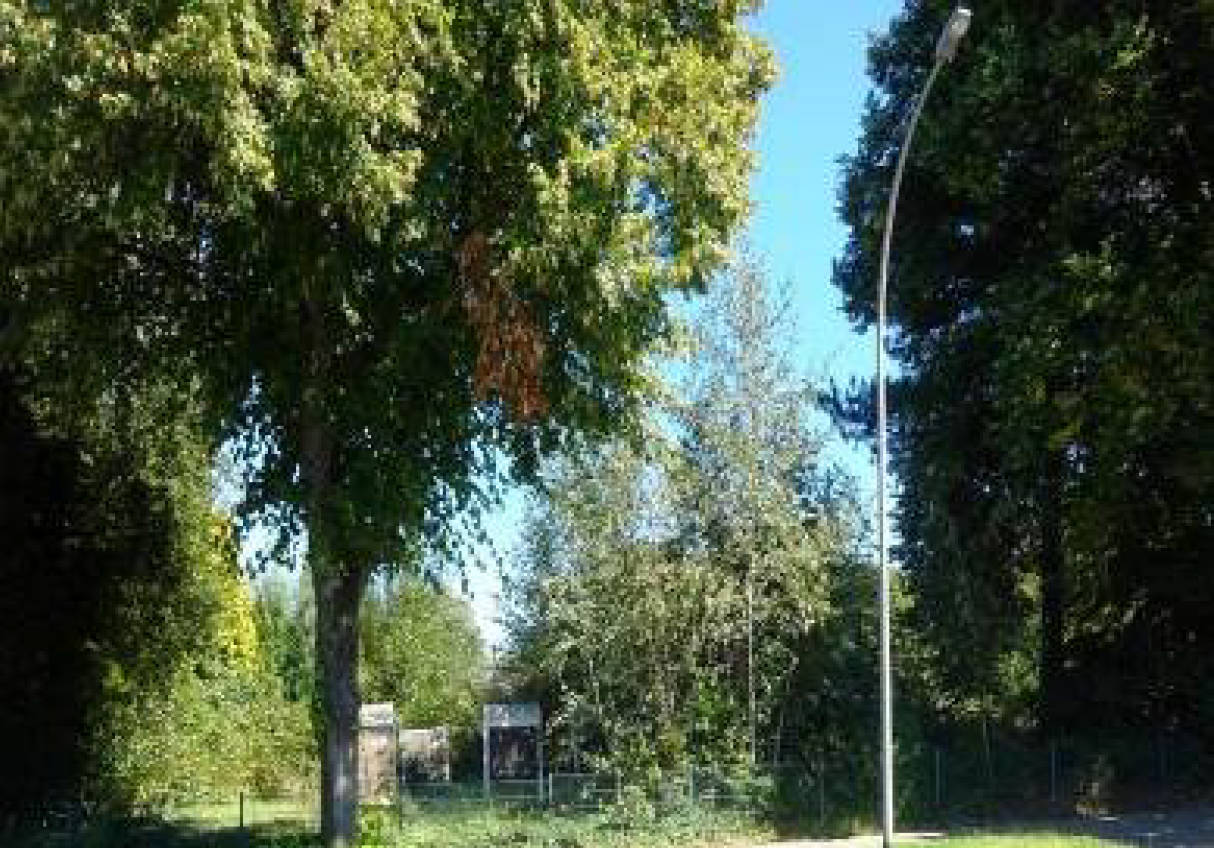 unbebautes Grundstück in Am Hauptfriedhof, 44625 Herne, Herne - Bild 3