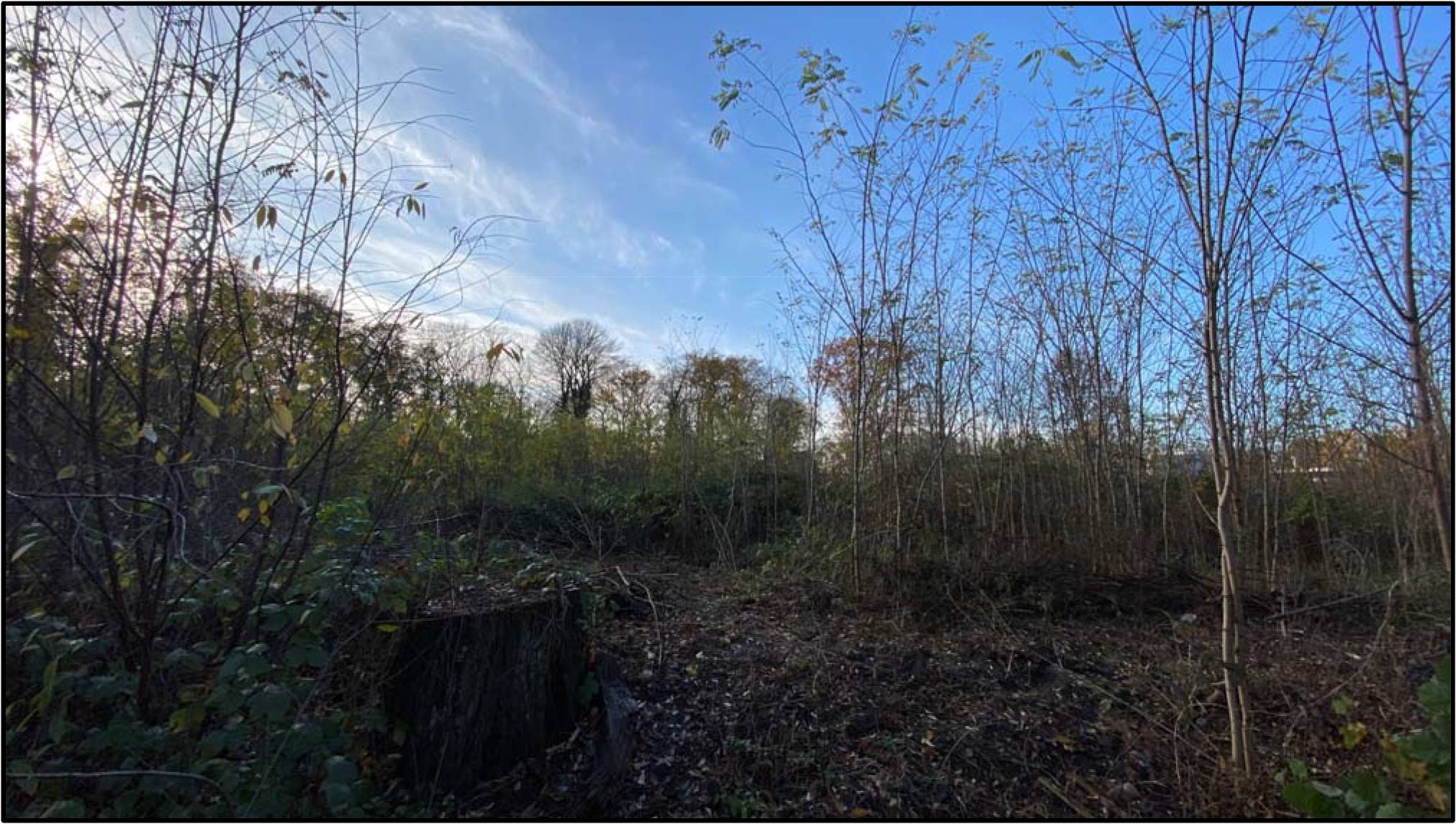 nordrheinwestpfalen 0010 K 0020/2019 Otterstraße, 46535 Dinslaken 2