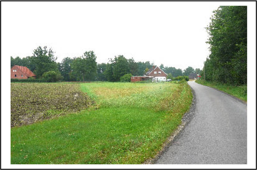 nordrheinwestpfalen 0010K0023-2023 Holtfelder Straße 33, 33829 Borgholzhausen 15