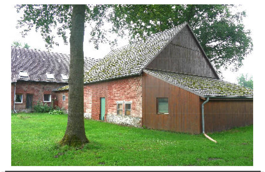 land- und forstwirtschaftlich genutztes Grundstück, Wohn-/Geschäftshaus in Holtfelder Straße 33, 33829 Borgholzhausen - Bild 3