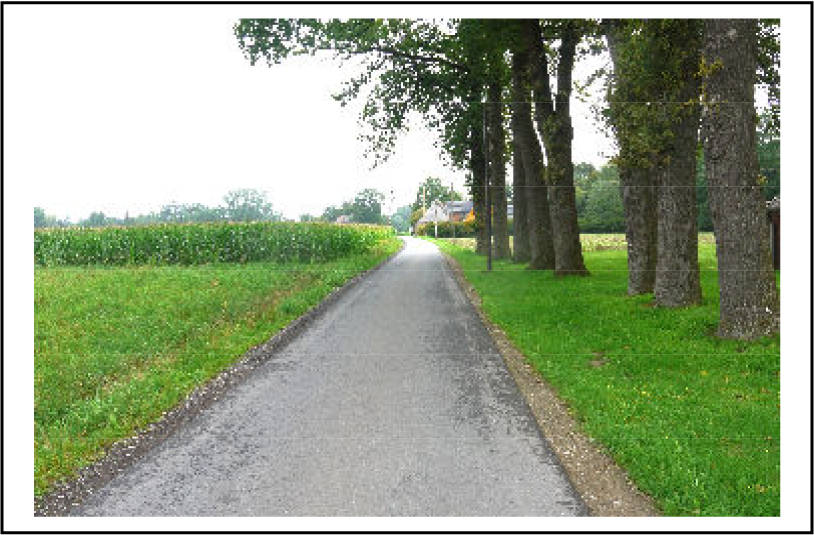 nordrheinwestpfalen 0010K0023-2023 Holtfelder Straße 33, 33829 Borgholzhausen 7