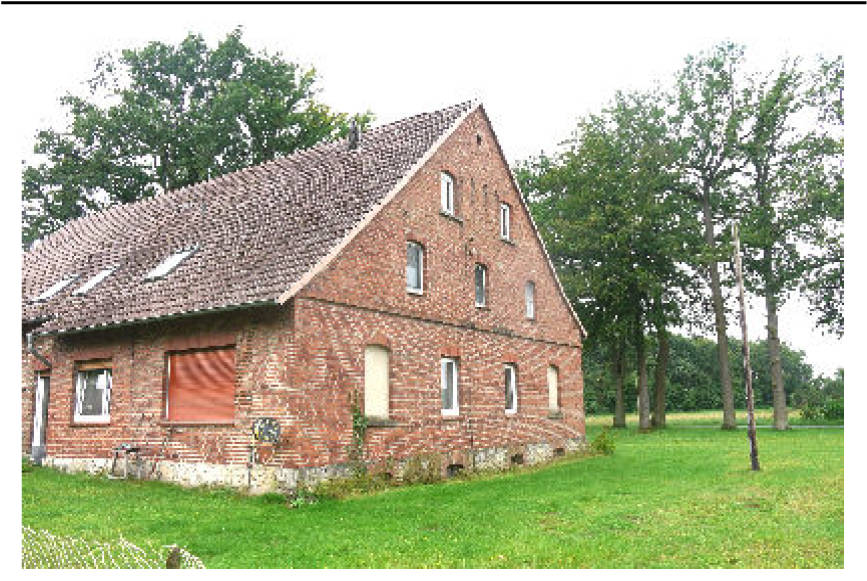 land- und forstwirtschaftlich genutztes Grundstück, Wohn-/Geschäftshaus in Holtfelder Straße 33, 33829 Borgholzhausen - Bild 5