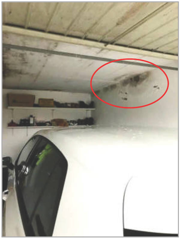 nordrheinwestpfalen 0010 K 0027/2024 Hartmanns Wäldchen 9, 33790 Halle 11