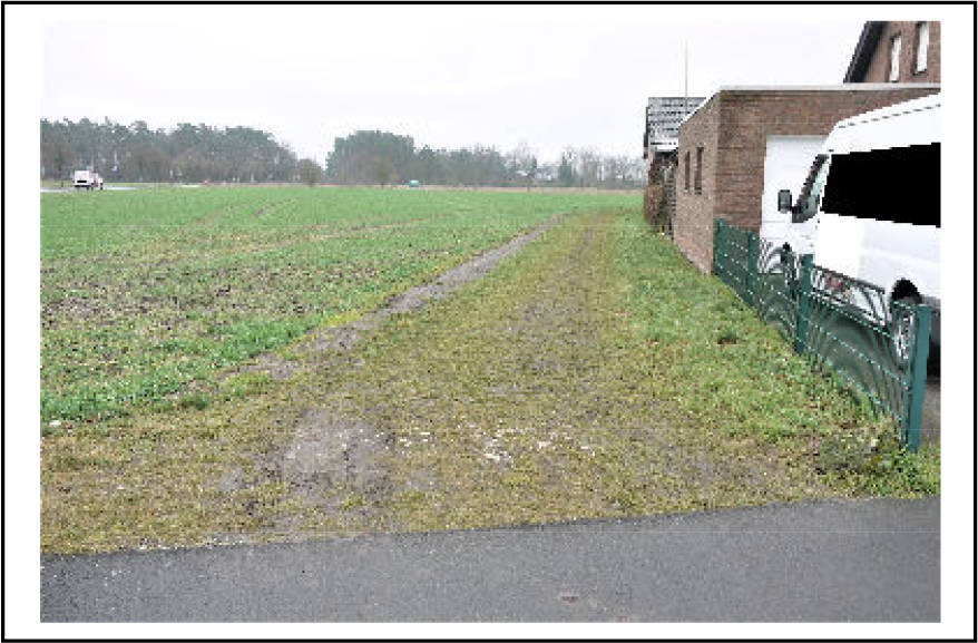 land- und forstwirtschaftlich genutztes Grundstück in Kamp, 33790 Halle - Bild 4