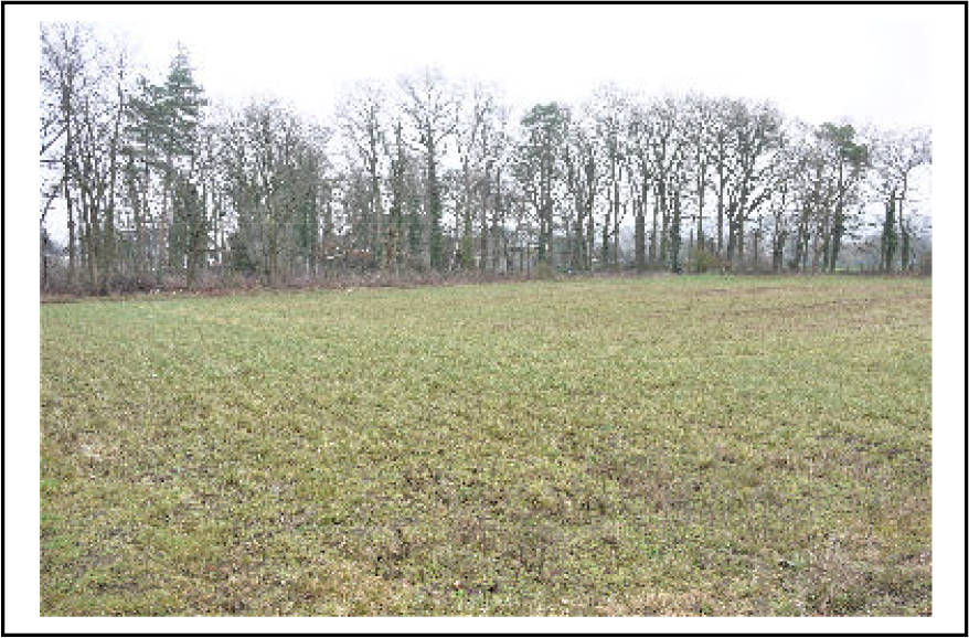 nordrheinwestpfalen 0010K0111/2023 Kamp, 33790 Halle 6