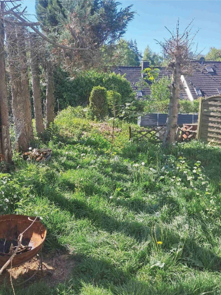 nordrheinwestpfalen 0011 K 0003/2025 Nagelsbüchel 63, 51688 Wipperfürth 10