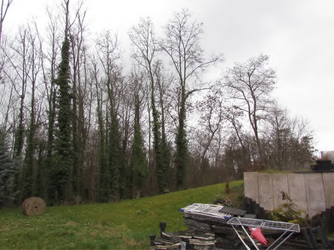 nordrheinwestpfalen 0011K0008/2022 Pützgasse 79, 53913 Swisttal, Heimerzheim 17
