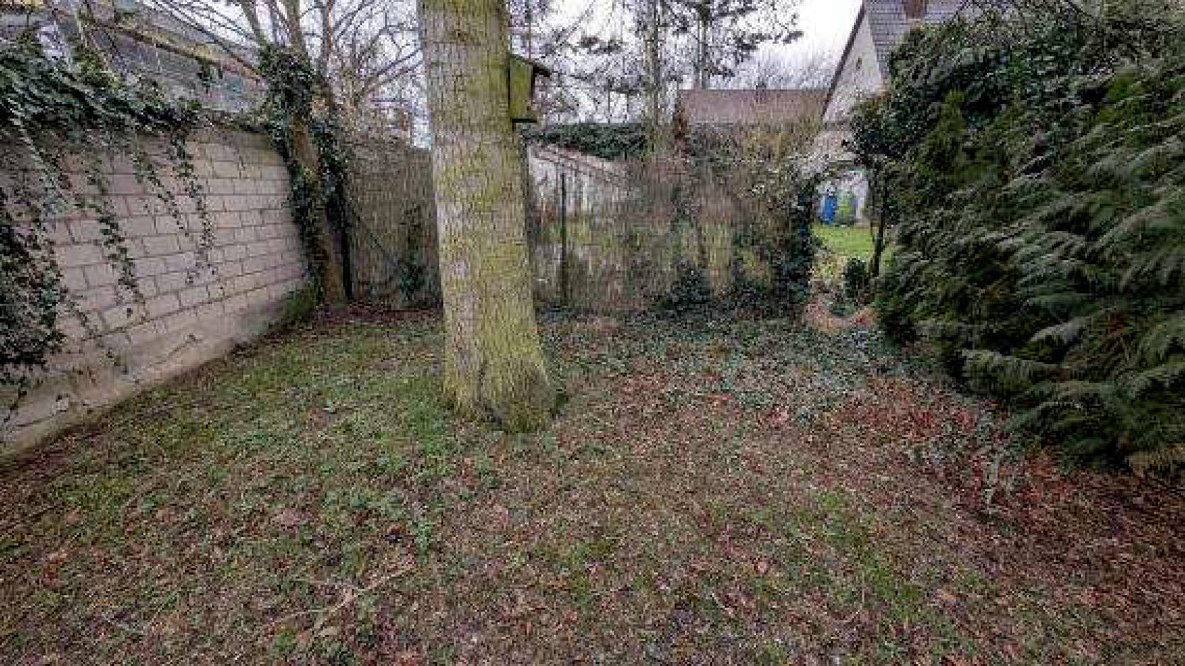 nordrheinwestpfalen 0011 K 0015/2025 Stadtpark 19, 53359 Rheinbach 13
