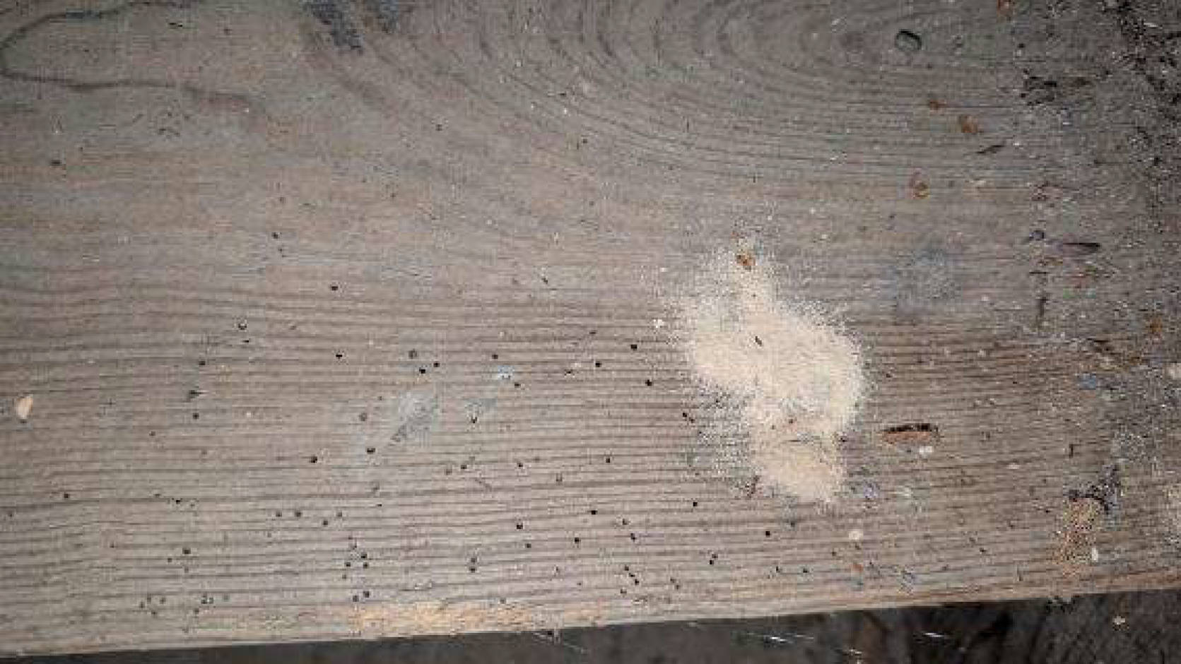 nordrheinwestpfalen 0011 K 0021/2022 Vor dem Voigtstor 10, 53359 Rheinbach 22