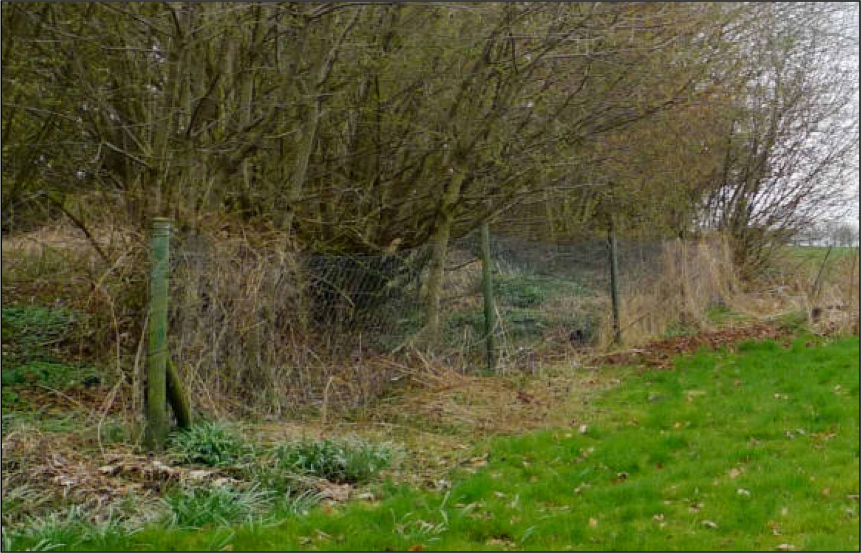 nordrheinwestpfalen 0011 K 0022/2024 Henkerstraße 10, 59457 Werl, Holtum 23