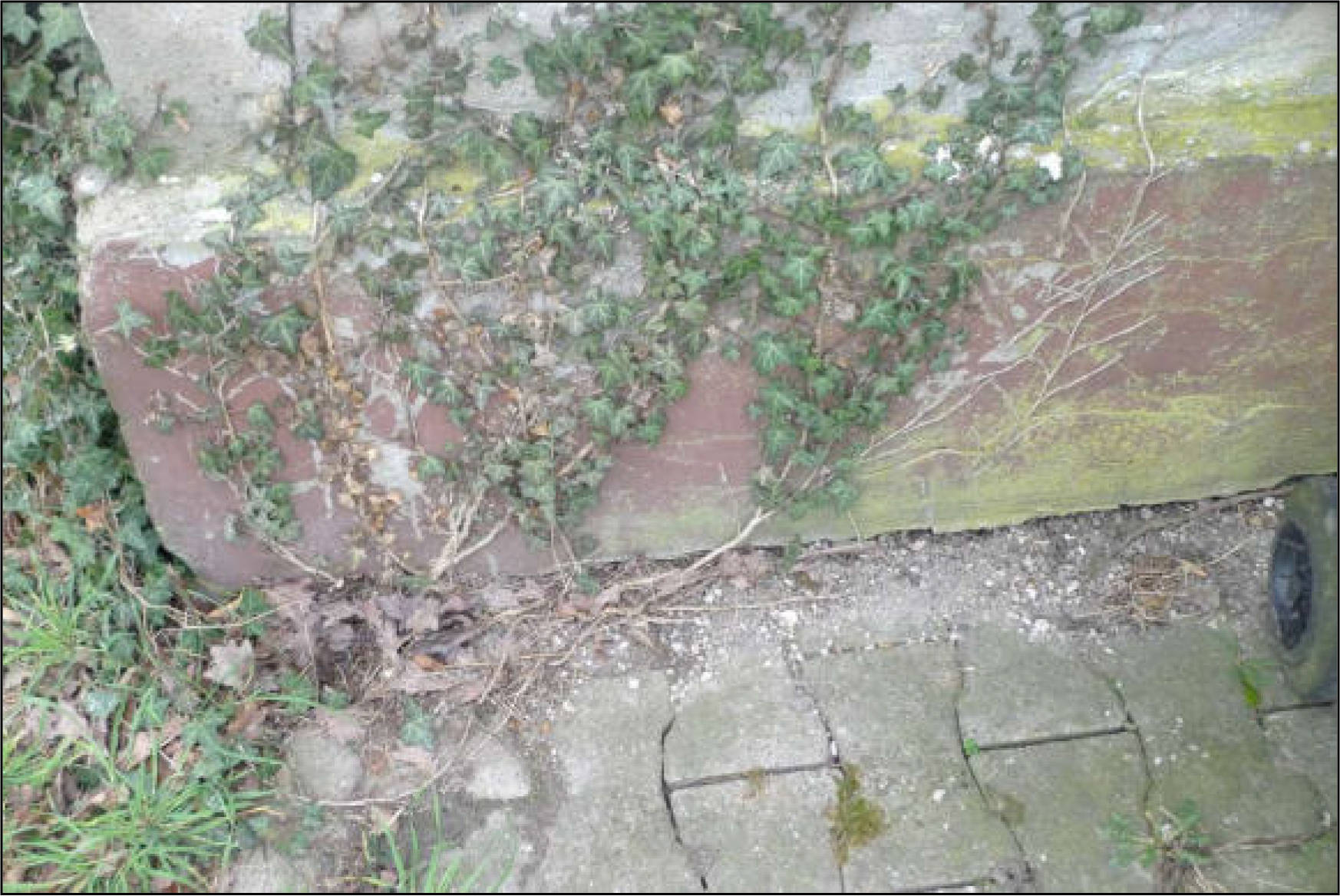 nordrheinwestpfalen 0011 K 0022/2024 Henkerstraße 10, 59457 Werl, Holtum 21