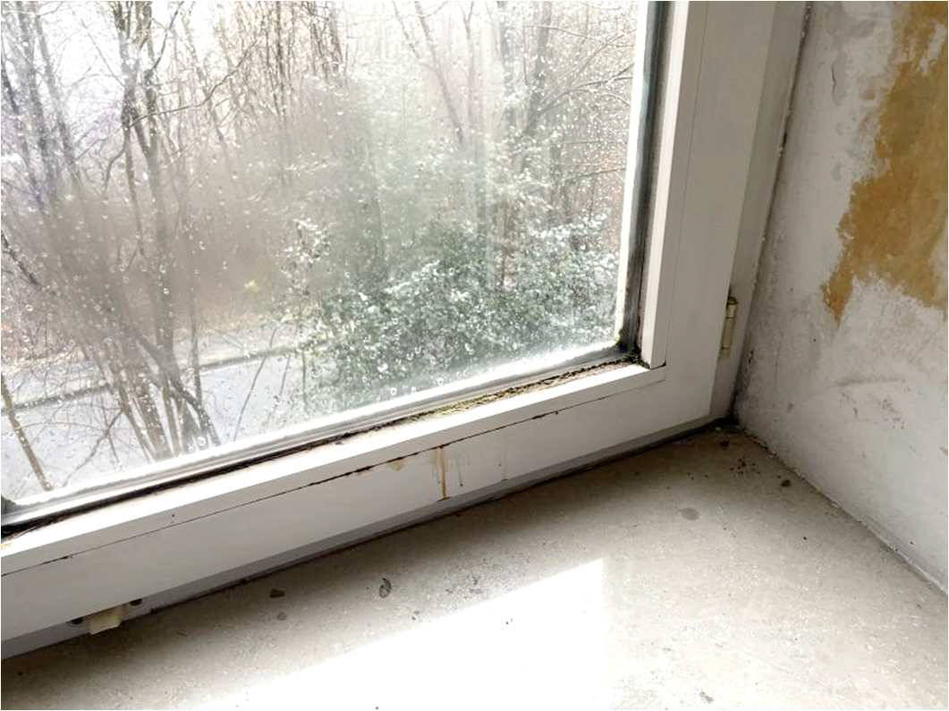 nordrheinwestpfalen 0011 K 0026/2022 Siedlungsweg 1, 3, 42477 Radevormwald 29