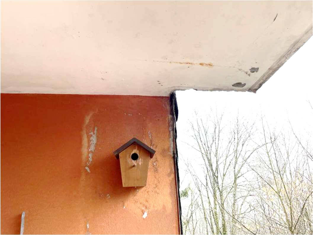 nordrheinwestpfalen 0011 K 0026/2022 Siedlungsweg 1, 3, 42477 Radevormwald 28