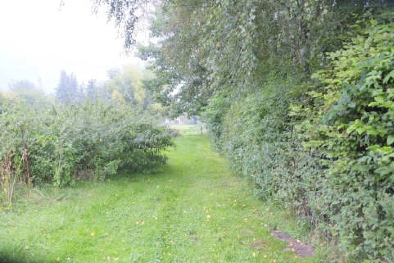 nordrheinwestpfalen 0011 a K 0001/2025 Brockweg, 33334 Gütersloh 10