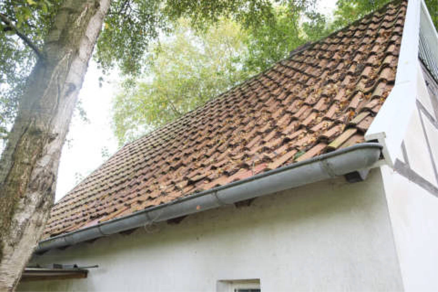 nordrheinwestpfalen 0011 a K 0001/2025 Brockweg, 33334 Gütersloh 14