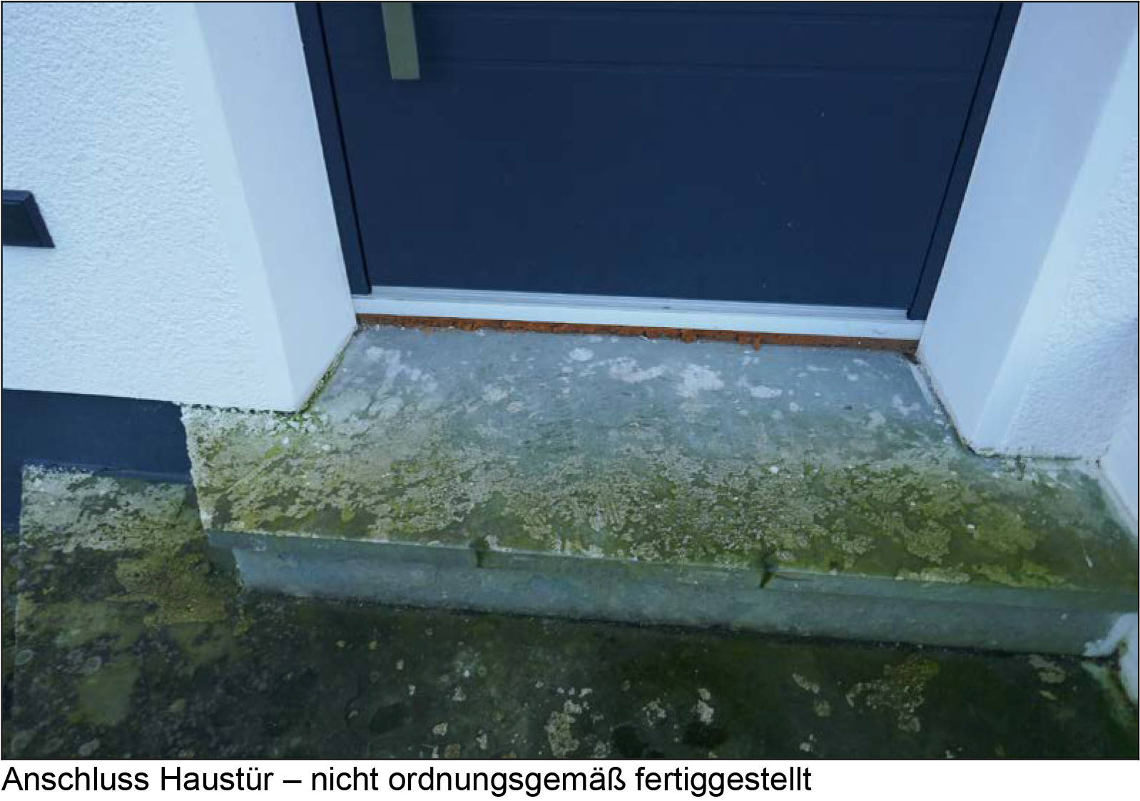 nordrheinwestpfalen 0011 a K 0016/2024 Am Hagen 18, 33428 ;Harsewinkel;Marienfeld, Greffen 6