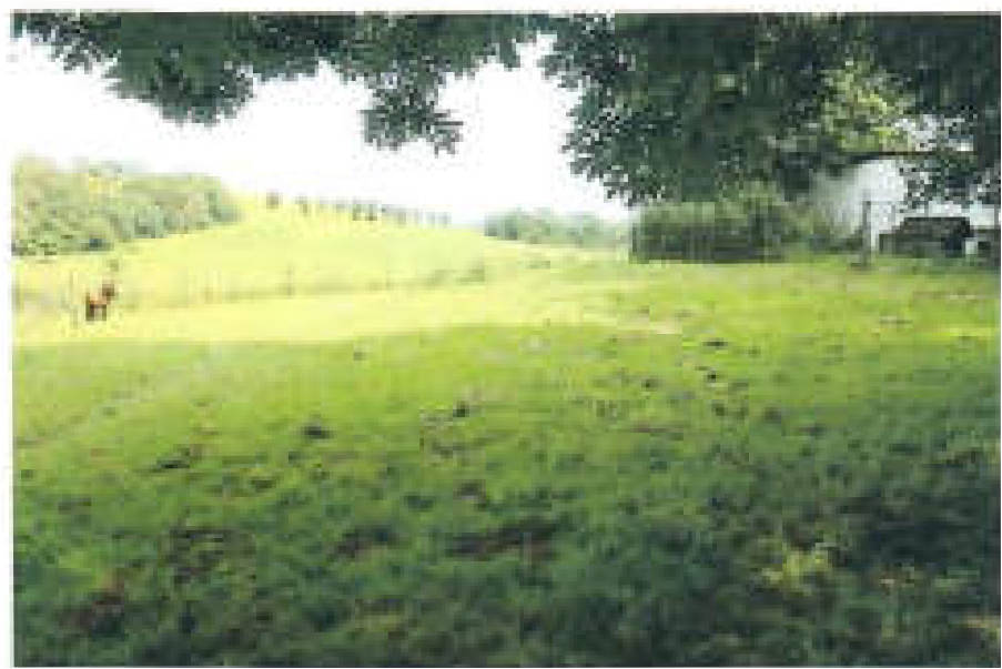 nordrheinwestpfalen 0012K0004-2024 Magdheide 1, 58553 Halver 7