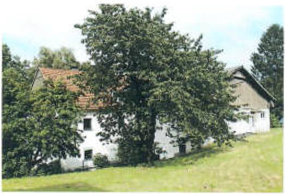 land- und forstwirtschaftlich genutztes Grundstück, Wasserfläche in Magdheide 1, 58553 Halver