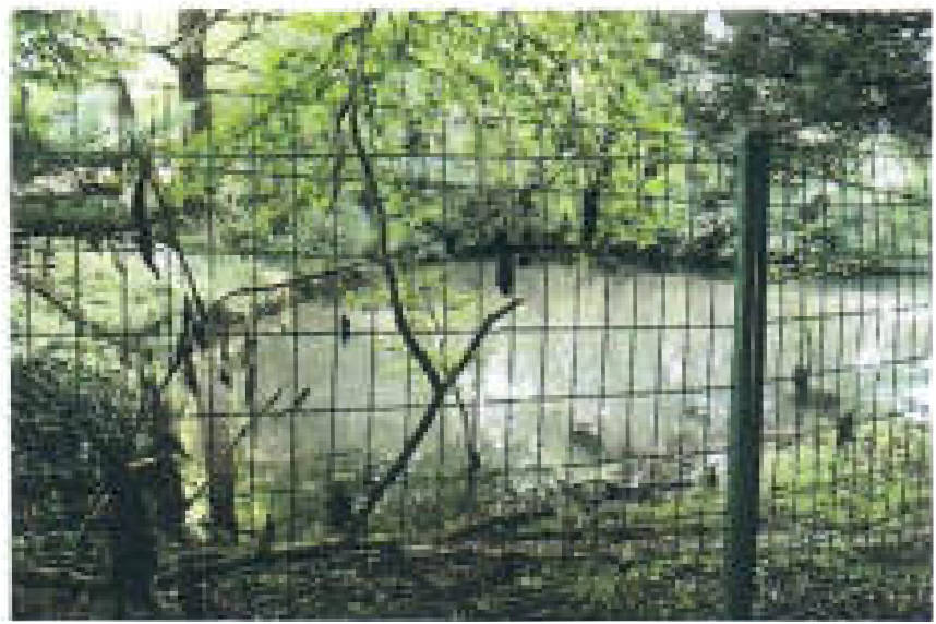 nordrheinwestpfalen 0012K0004-2024 Magdheide 1, 58553 Halver 10