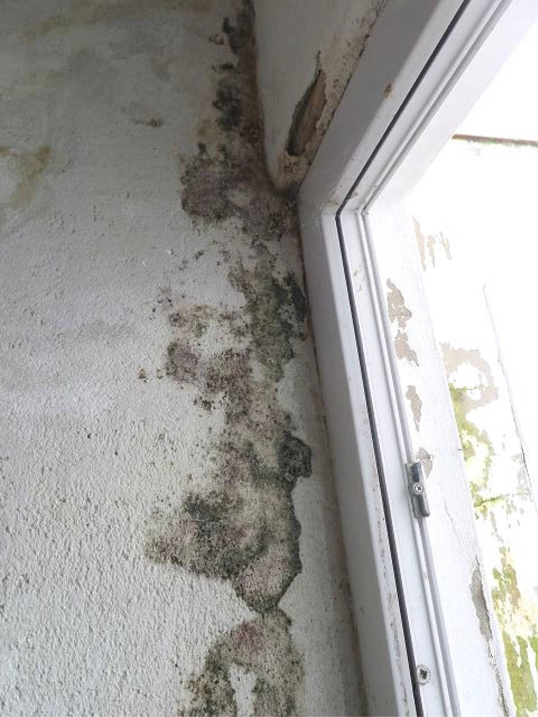 nordrheinwestpfalen 0012 K 0009/2024 Liebigstraße 2 A, 58511 Lüdenscheid 23