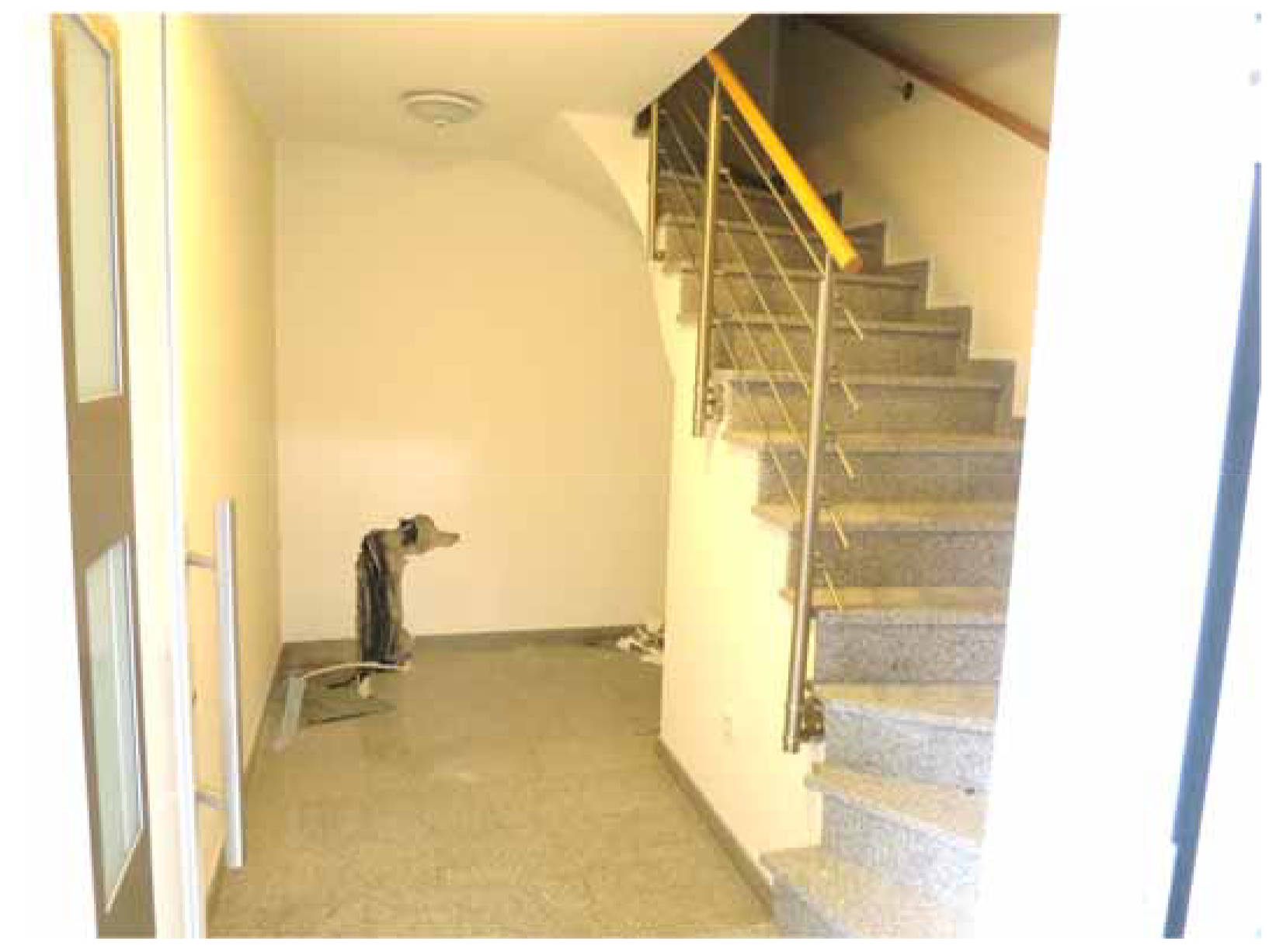 nordrheinwestpfalen 0012K0015/2023 Dr. Sandforth-Straße 15a, 15b, 48231 Warendorf, Freckenhost 12