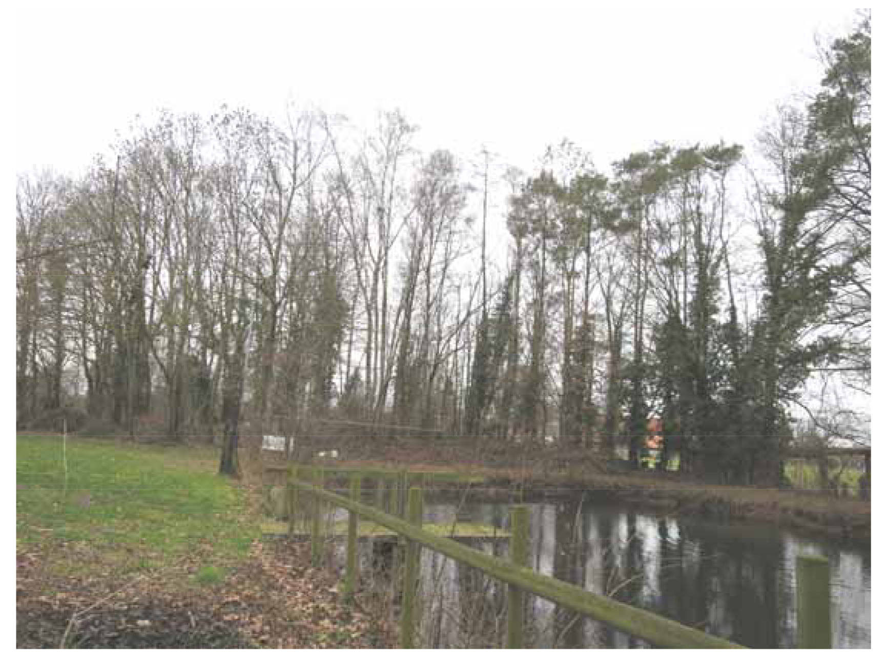 Einfamilienhaus in Lütken Heide 22, Merschkamp, 48291 Telgte, Westbvern - Bild 5