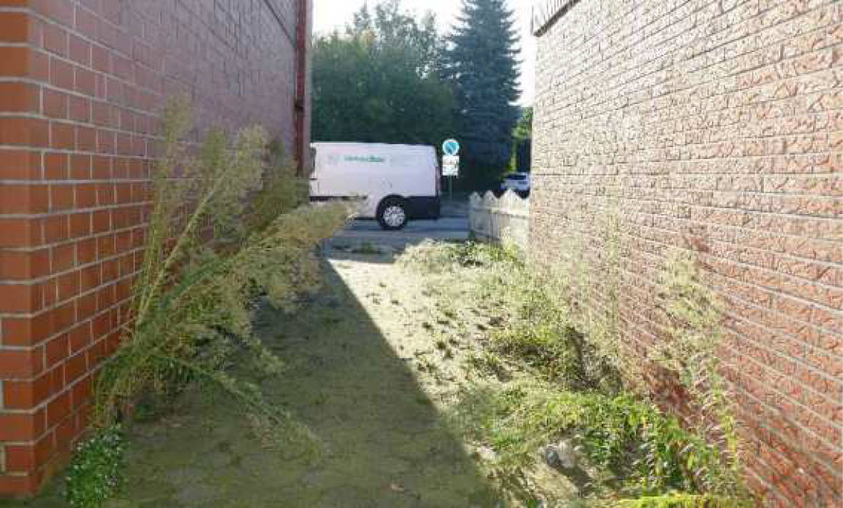 nordrheinwestpfalen 0012K0017-2024 Ludgeristraße 43, 48429 Rheine