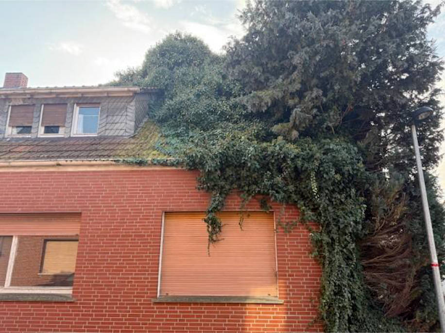 nordrheinwestpfalen 0012 K 0025/2025 Hubertusstraße 20, 48429 Rheine 7