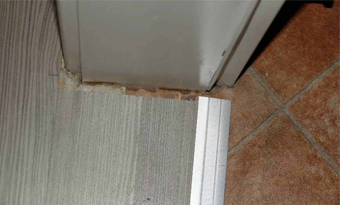 nordrheinwestpfalen 0012 K 0026/2024 Ludgeristraße 58 b, Viktorweg, 48429 Rheine 12