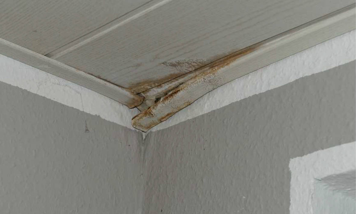 nordrheinwestpfalen 0012 K 0026/2024 Ludgeristraße 58 b, Viktorweg, 48429 Rheine 23