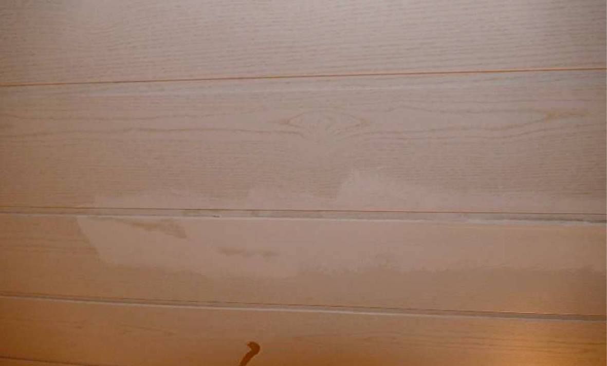 nordrheinwestpfalen 0012 K 0026/2024 Ludgeristraße 58 b, Viktorweg, 48429 Rheine 14