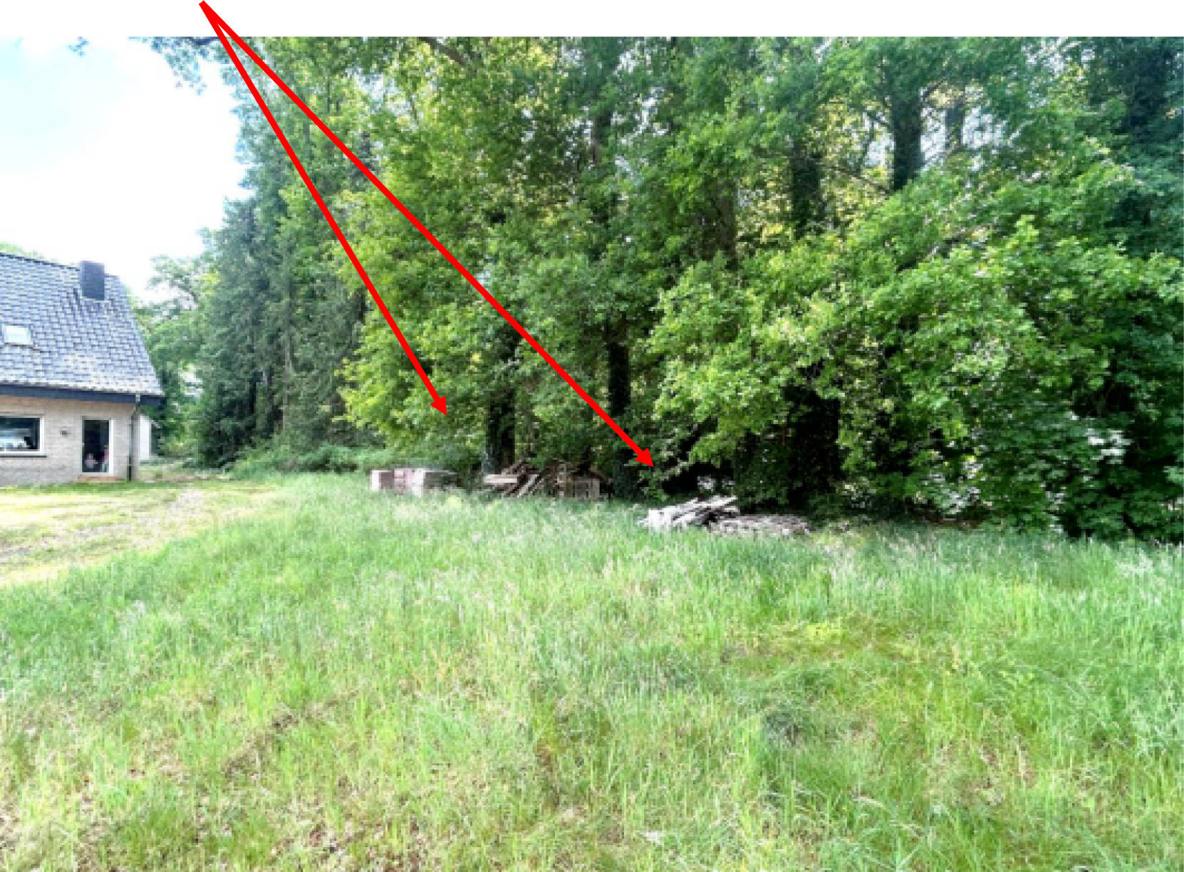 nordrheinwestpfalen 0012 K 0031/2024 Emsdettener Straße 255, 48485 Neuenkirchen 9