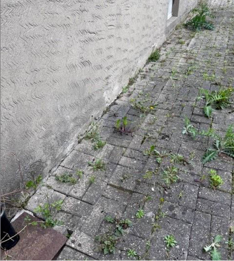 nordrheinwestpfalen 0012K0039/2024 Ludwig-Dürr-Straße 6, 48431 Rheine 7