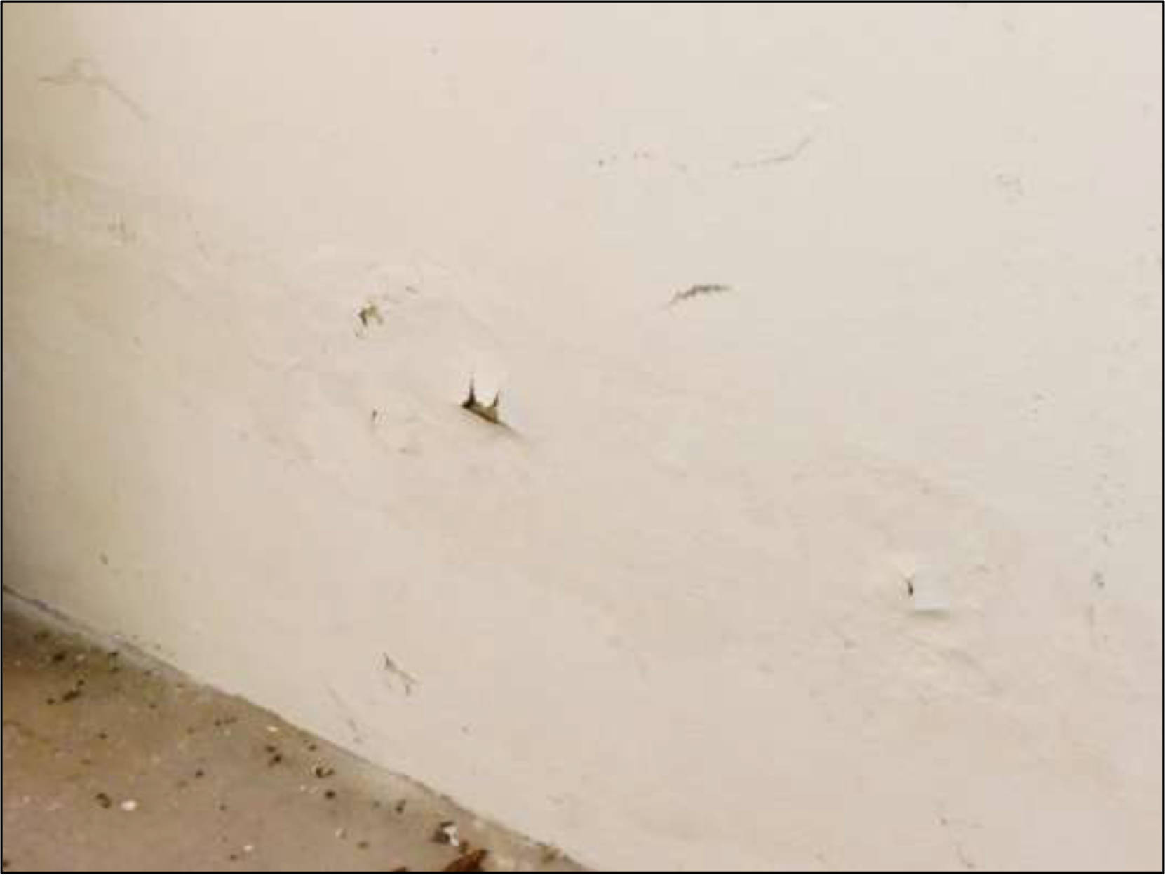 nordrheinwestpfalen 0013 K 0006/2025 Schulstraße 32, 33818 Leopoldshöhe 11