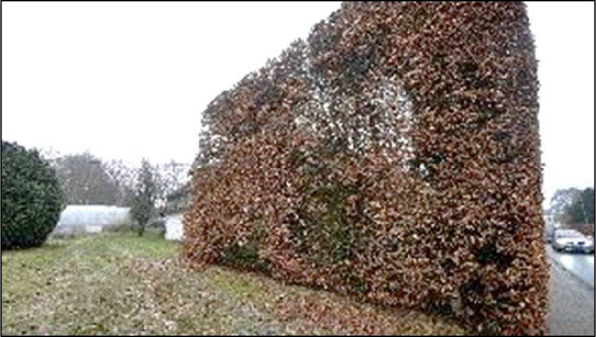 nordrheinwestpfalen 0013 K 0008/2024 Hauptstraße 57, 52156 Monschau, Höfen 19