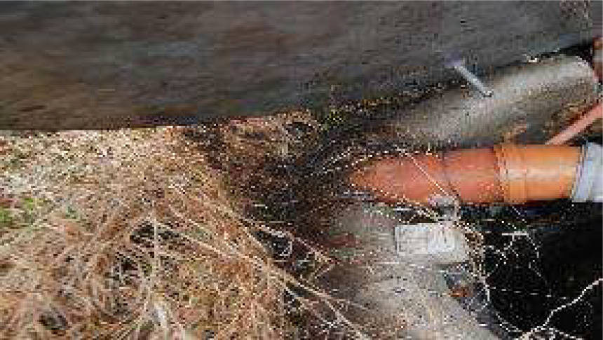 nordrheinwestpfalen 0013 K 0009/2024 Reichensteiner Str. 26, 52156 Monschau, Mützenich 30