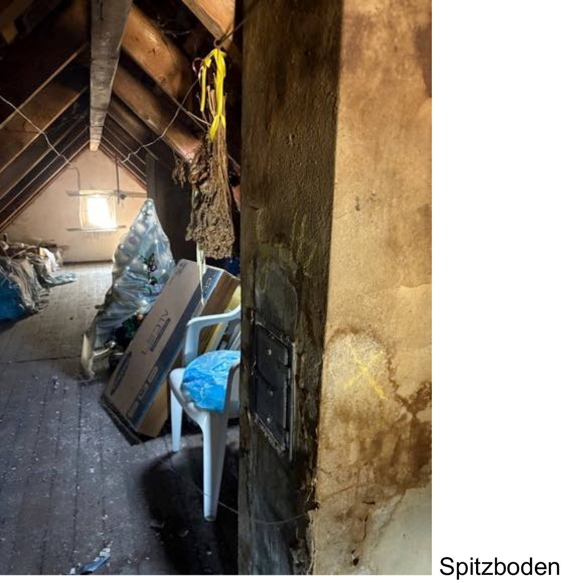 nordrheinwestpfalen 0013 K 0010/2025 Weinbergstraße 16, 32107 Bad Salzuflen, Schötmar 15