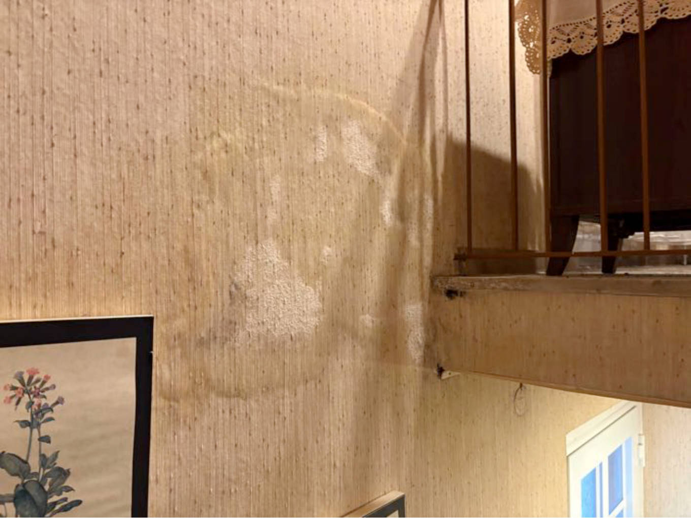 nordrheinwestpfalen 0013 K 0033/2024 Schuckendahler Weg 4, 32107 Bad Salzuflen, Holzhausen 15