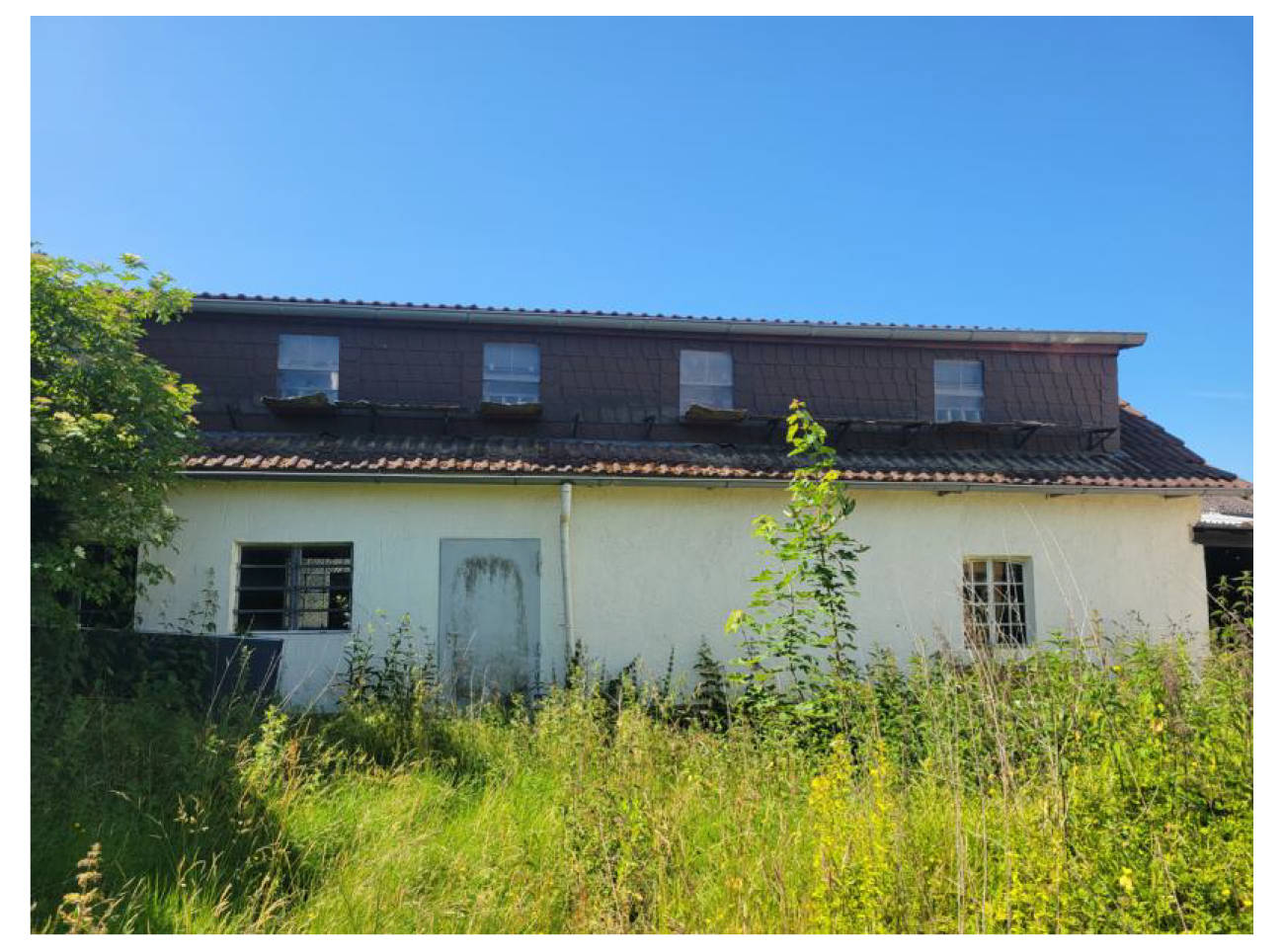 nordrheinwestpfalen 0014 K 0008/2025 Am Küstergarten 2, 33184 Altenbeken, Schwaney 7