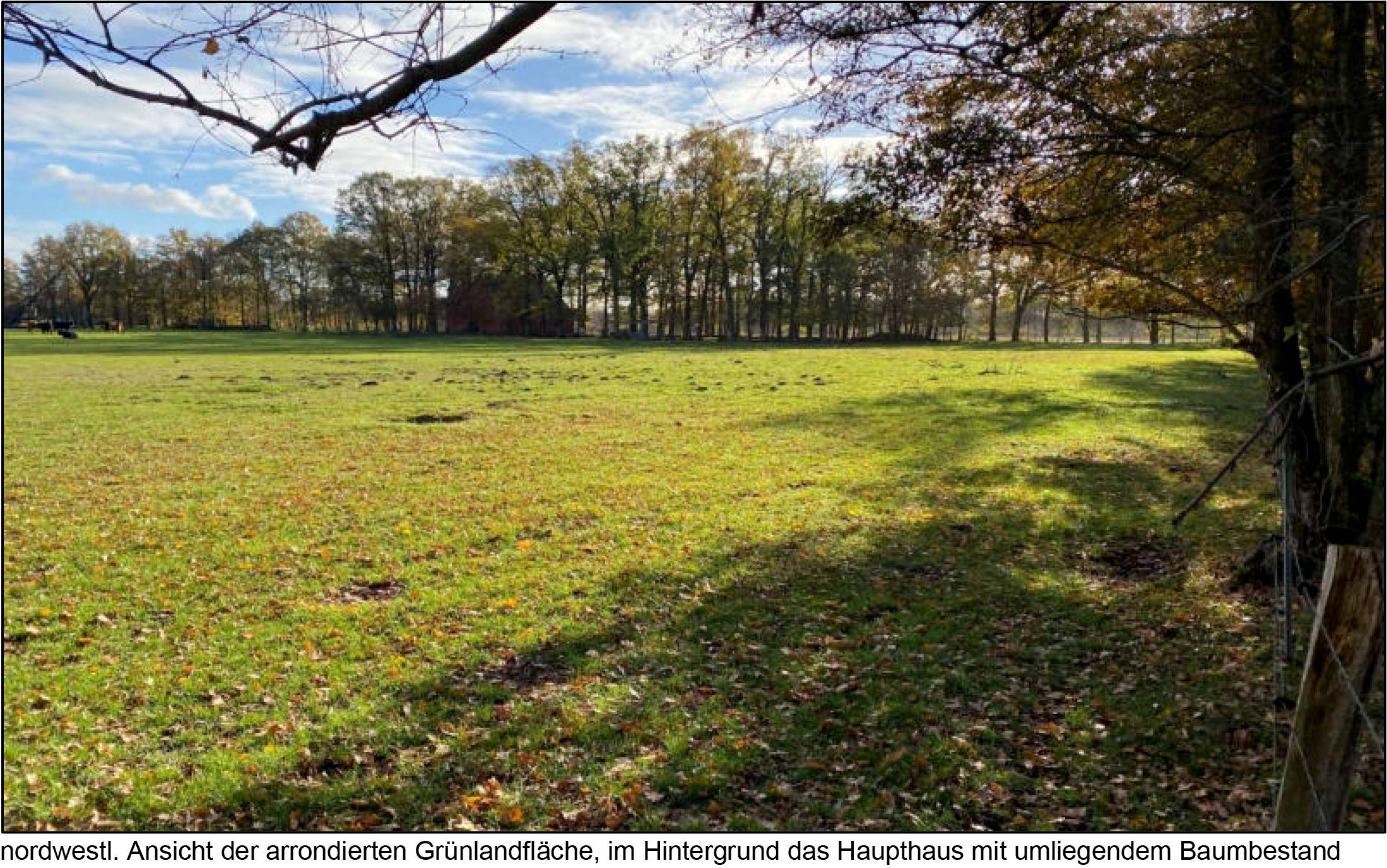 land- und forstwirtschaftlich genutztes Grundstück in Hoppenmeer 52, Schöning, 33129 Delbrück, Westerloh - Bild 2