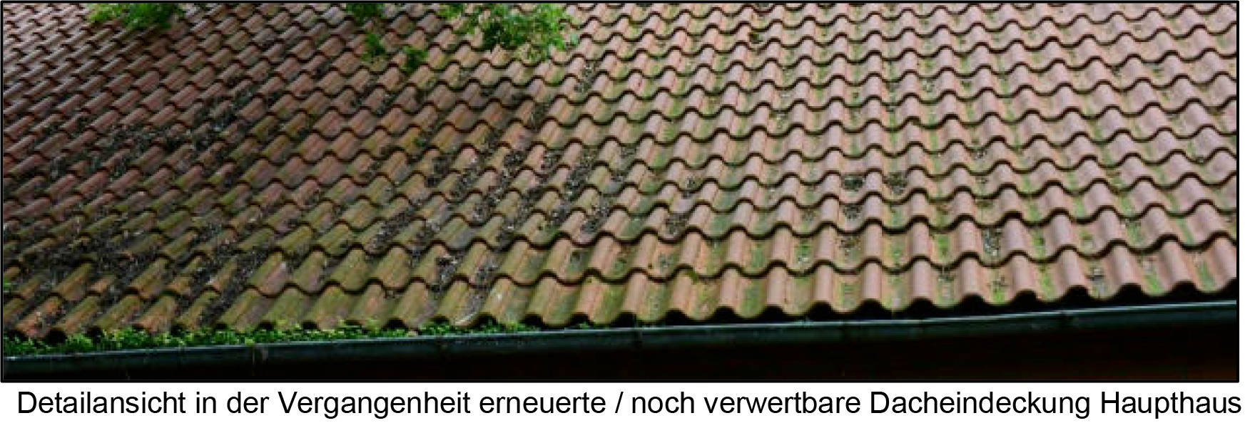 land- und forstwirtschaftlich genutztes Grundstück in Hoppenmeer 52, Schöning, 33129 Delbrück, Westerloh - Bild 3