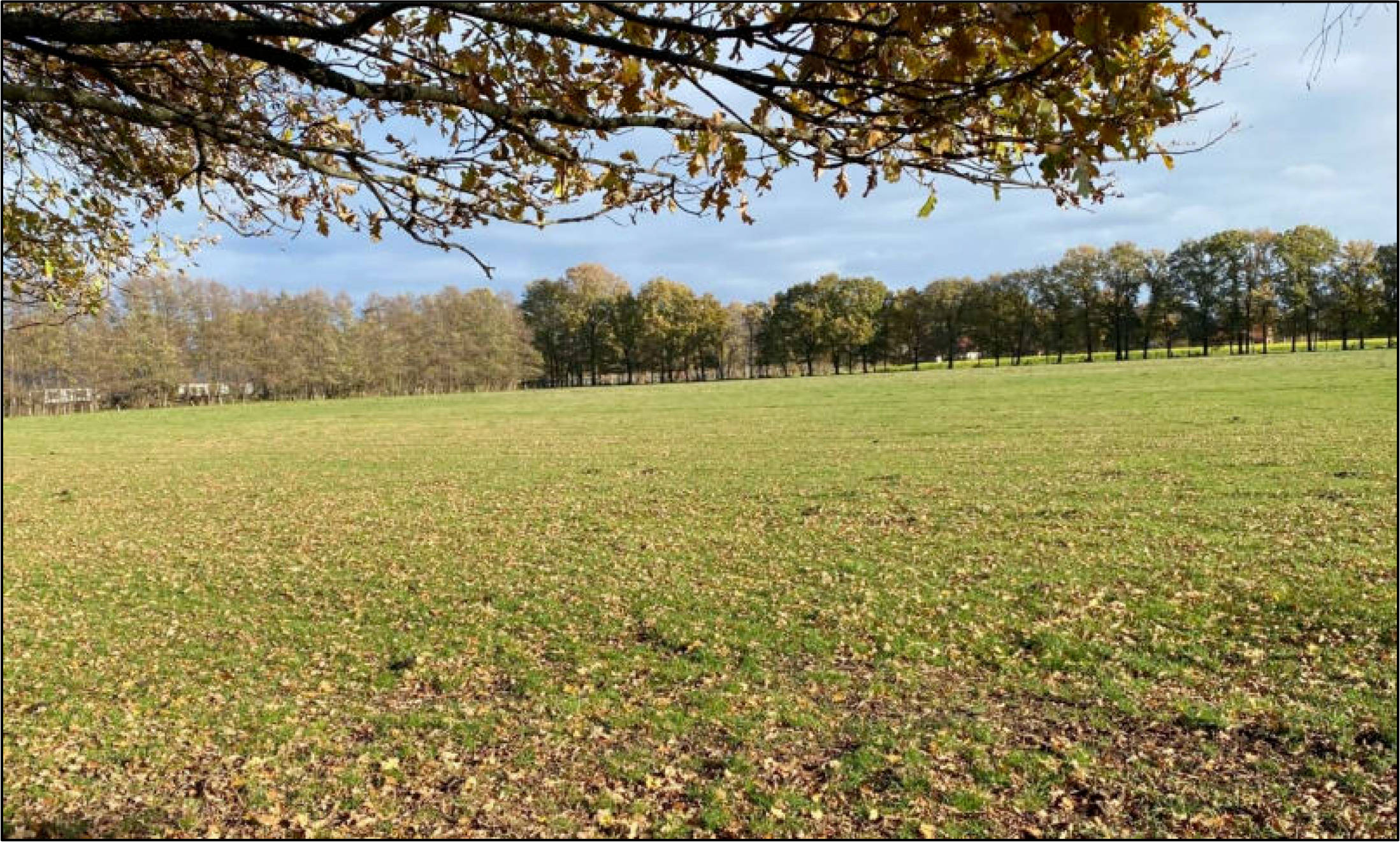 nordrheinwestpfalen 0014K0010-2022 Hoppenmeer 52, Schöning, 33129 Delbrück, Westerloh 17