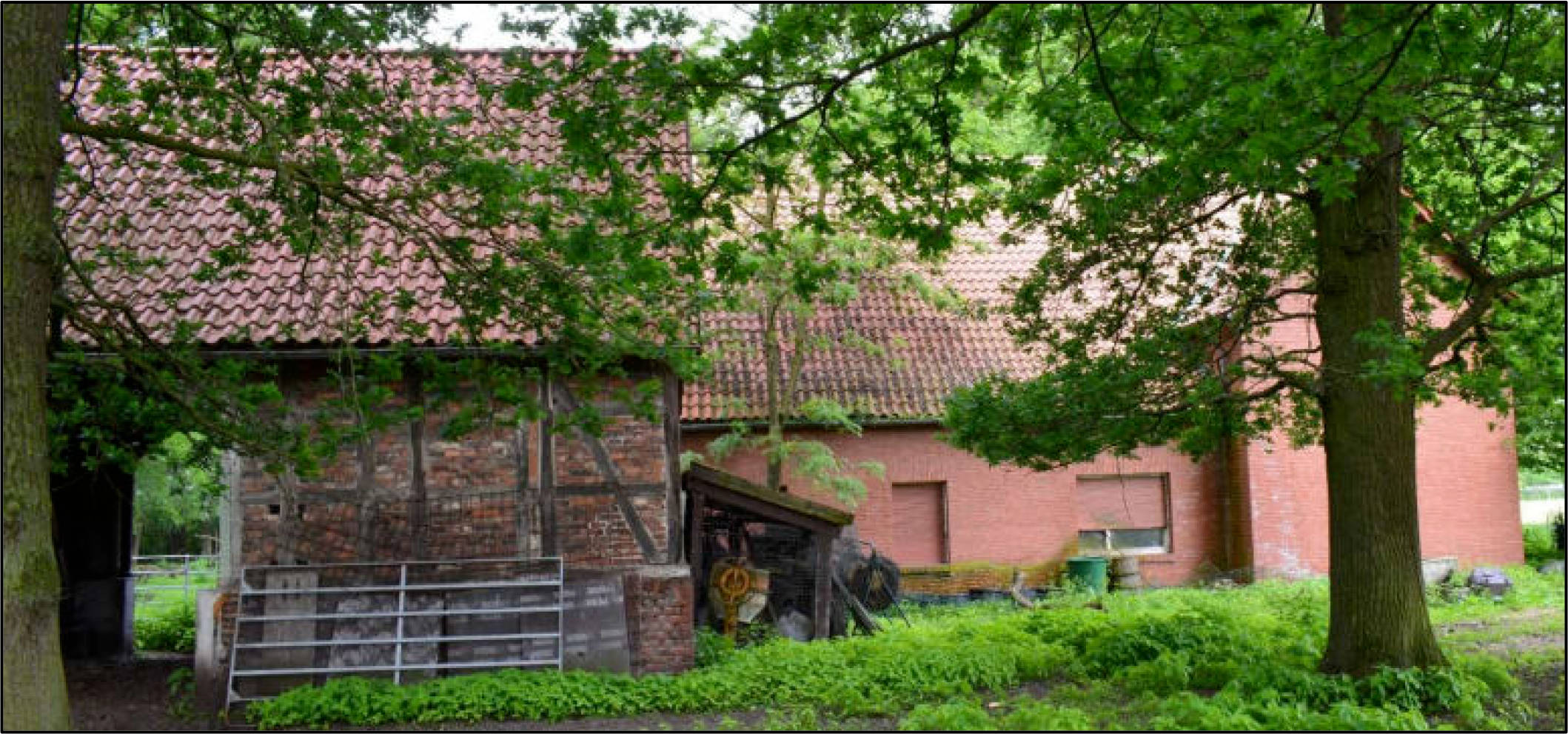 Hoppenmeer 52, Schöning, 33129 Delbrück, Westerloh