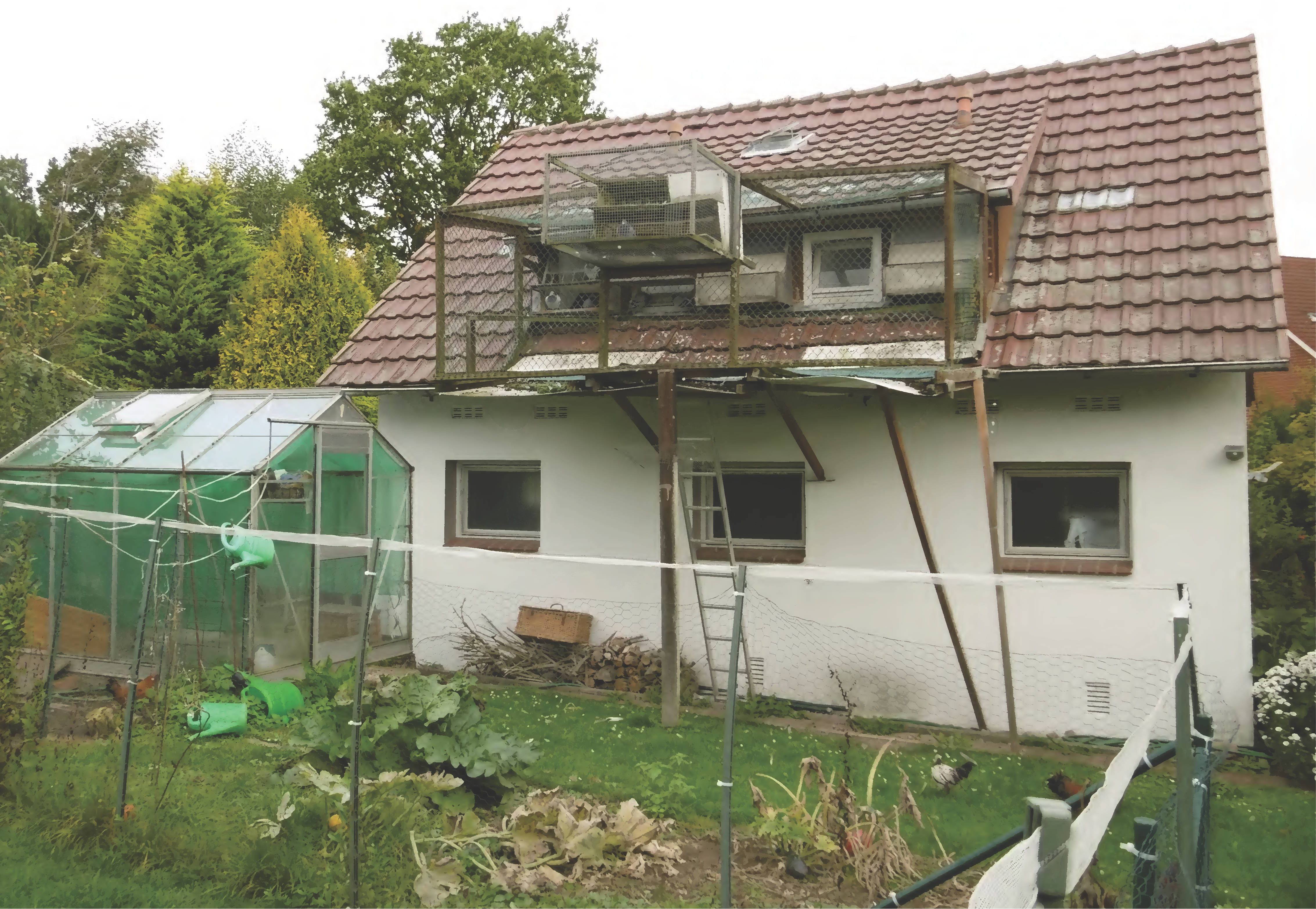 Einfamilienhaus, Schuppen, Gewächshaus, Holzgartenhaus, Doppelgarage in Brunnenstraße 7, 32689 Kalletal, Kalldorf - Bild 5