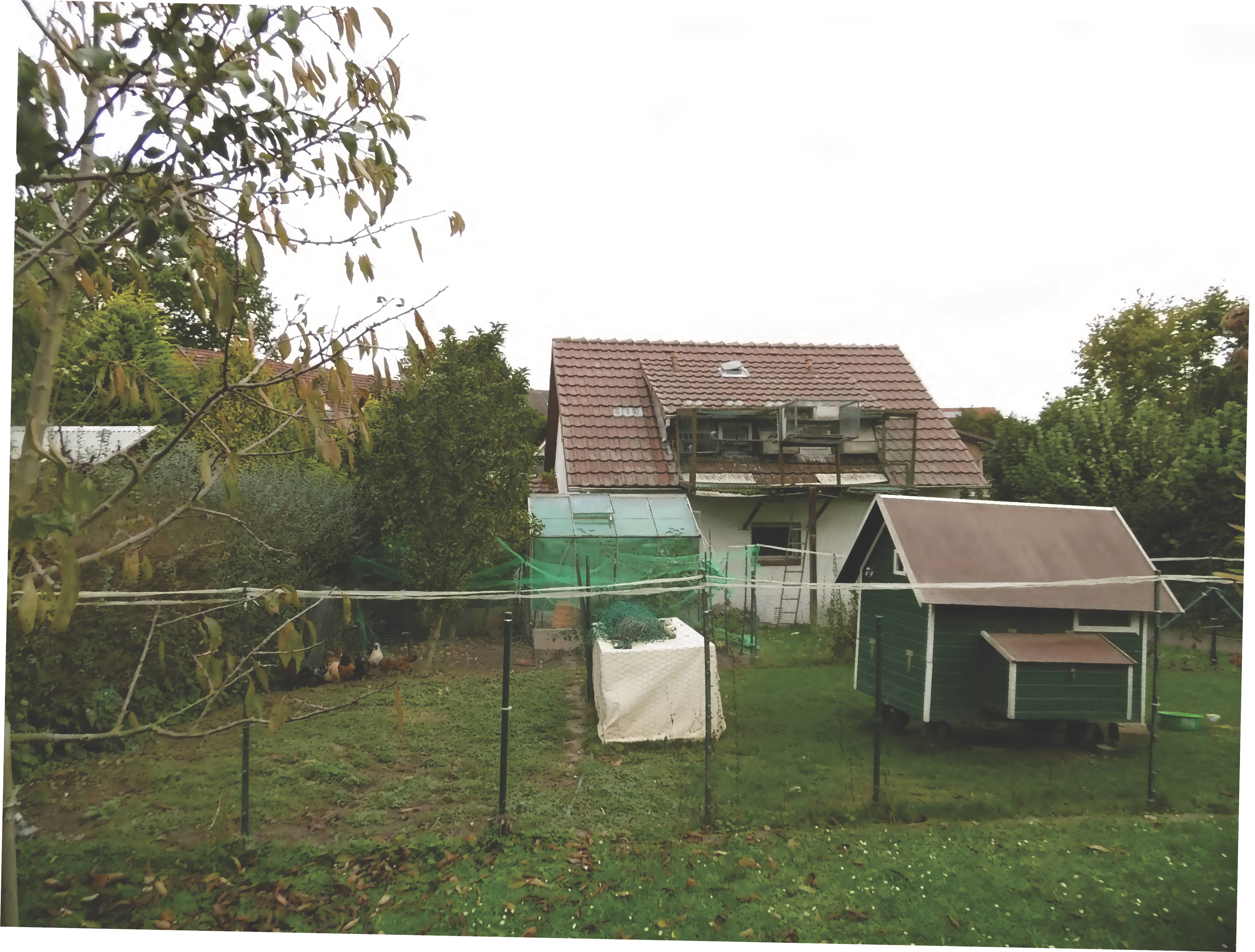 Einfamilienhaus, Schuppen, Gewächshaus, Holzgartenhaus, Doppelgarage in Brunnenstraße 7, 32689 Kalletal, Kalldorf - Bild 2