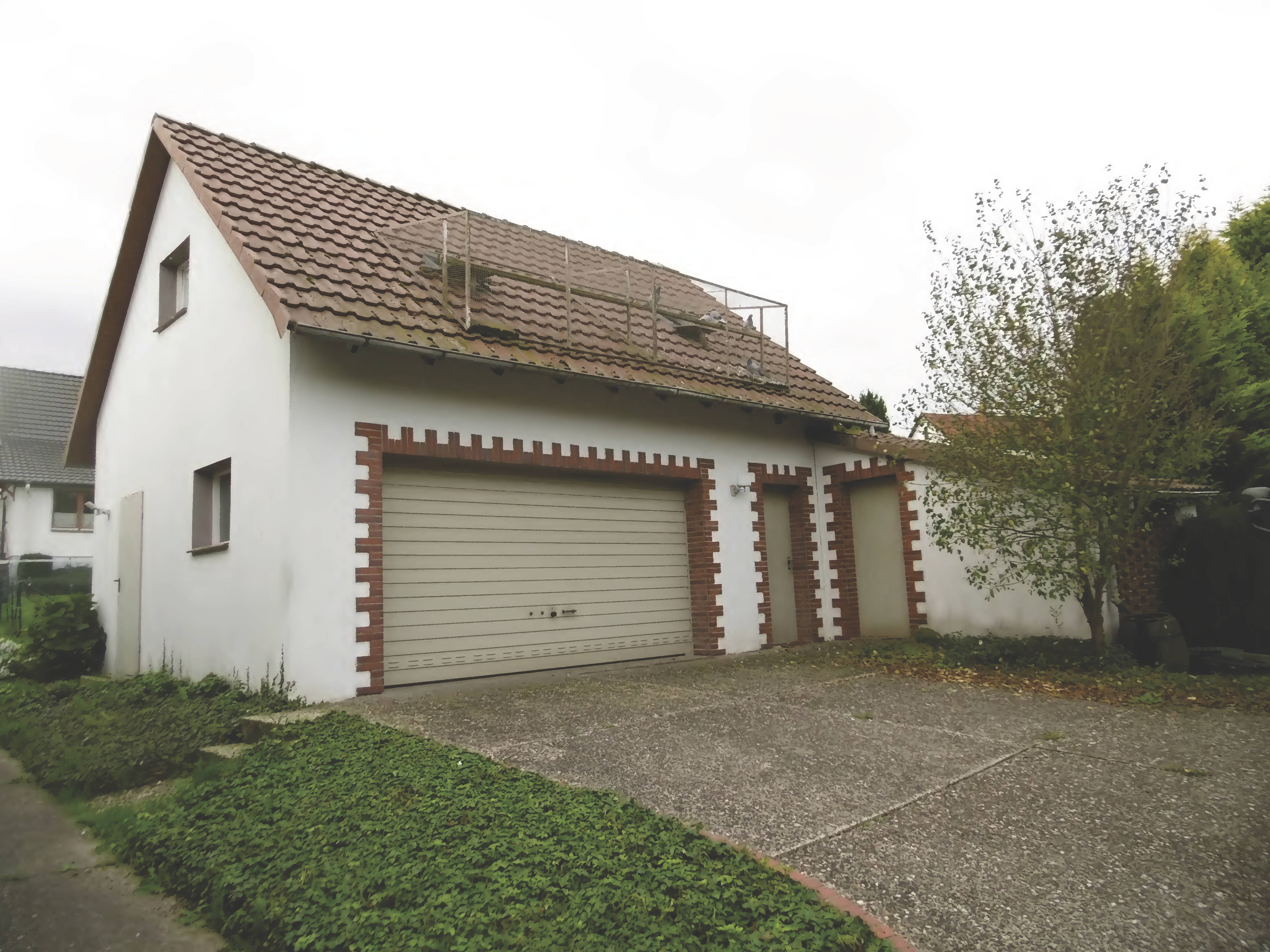Einfamilienhaus, Schuppen, Gewächshaus, Holzgartenhaus, Doppelgarage in Brunnenstraße 7, 32689 Kalletal, Kalldorf - Bild 4