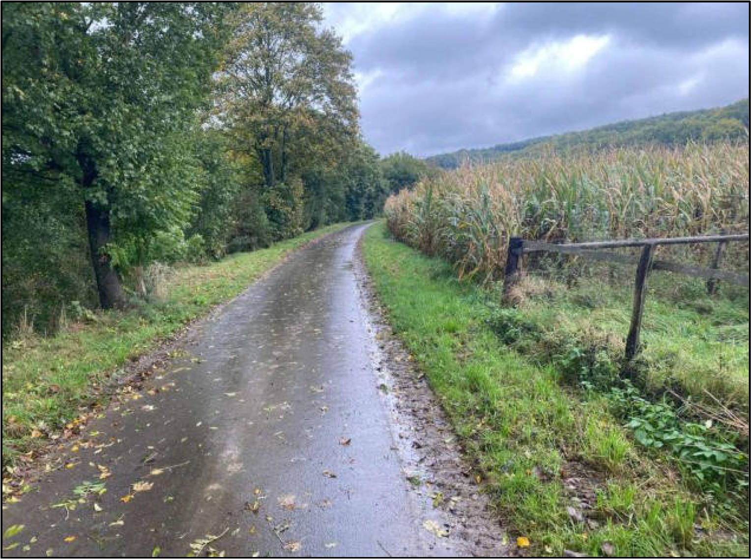 nordrheinwestpfalen 0014K0019-2024 Auf dem Anger, 33165 Lichtenau, Atteln